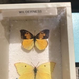 Meet your Posher, Natalie